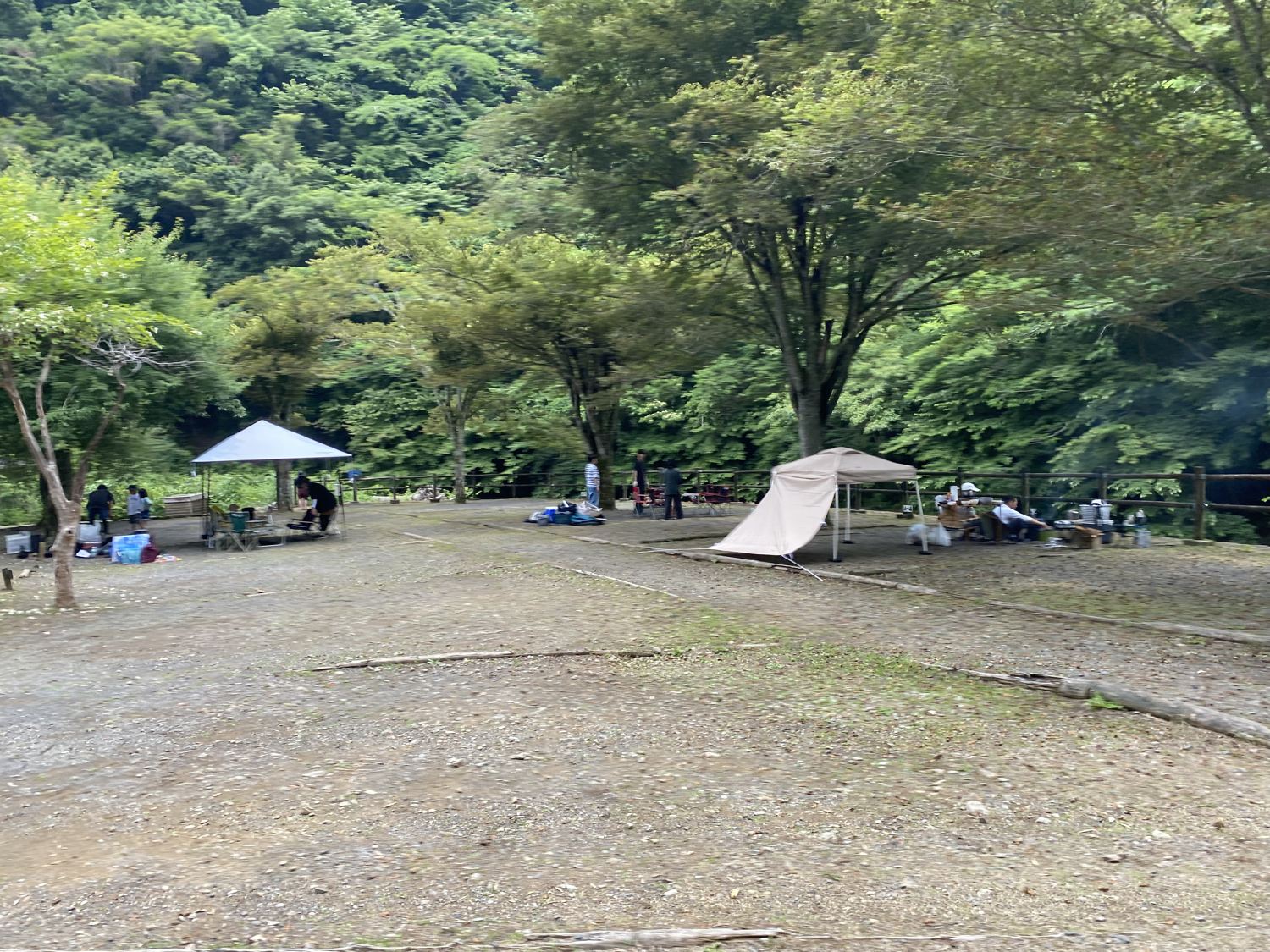黒川キャンプ場の場内
