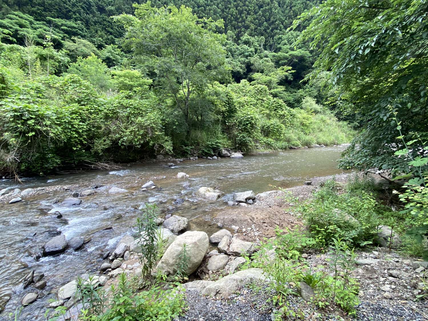 キャンプ場脇を流れる興津川